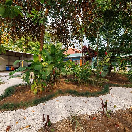 Apartamento Rio Celeste Dreams Bijagua Exterior foto