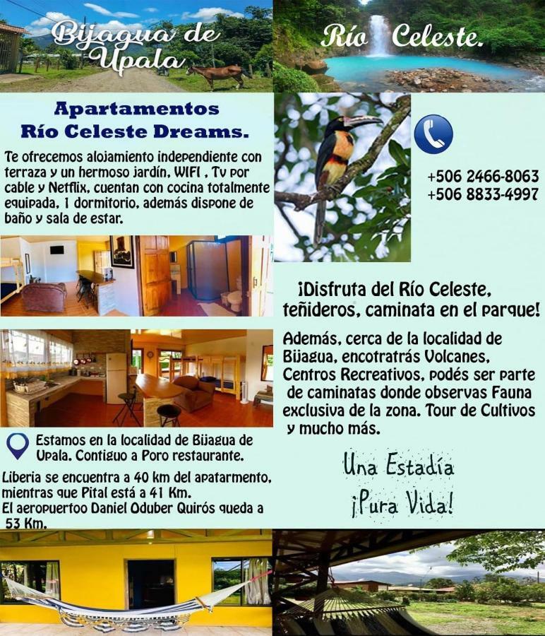 Xxx Blue Paradise - Rio Celeste Dreams Bijagua Exterior foto